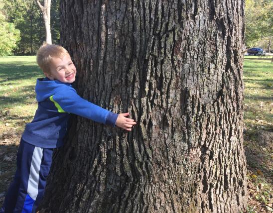 Kid hugging a tree